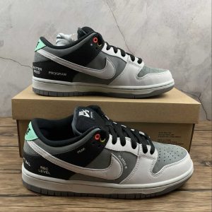 Nike SB Dunk Low Camcorder