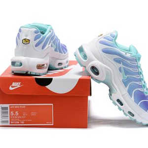 Nike Air Max Plus TN White Blue