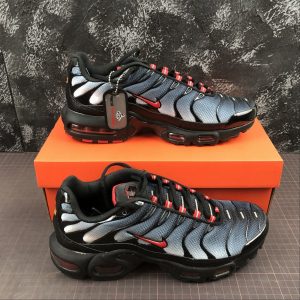 Nike Air Max Plus TN Monotone Gradient