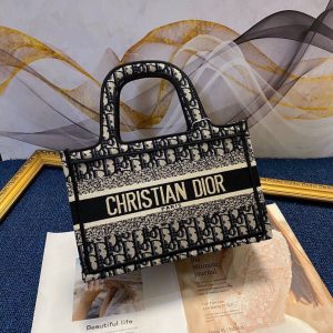 DIOR Book Tote Mini
