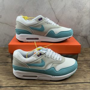 Nike Air Max 1 Anniversary