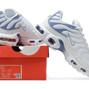 Air Max Plus TN "Ashen Slate"