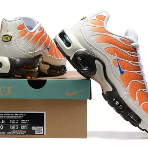 Nike Air Max Plus TN "One Block Down Chutney"